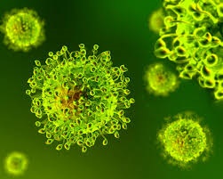 ULTIME DISPOSIZIONI CORONAVIRUS