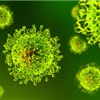 ULTIME DISPOSIZIONI CORONAVIRUS